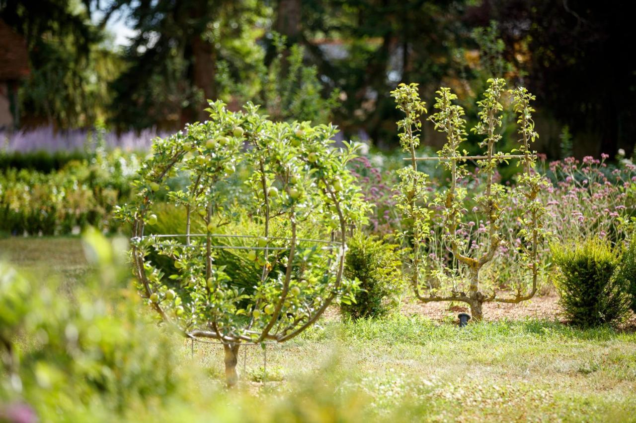 Relais & Chateau Louise De La Valliere Reugny Екстериор снимка